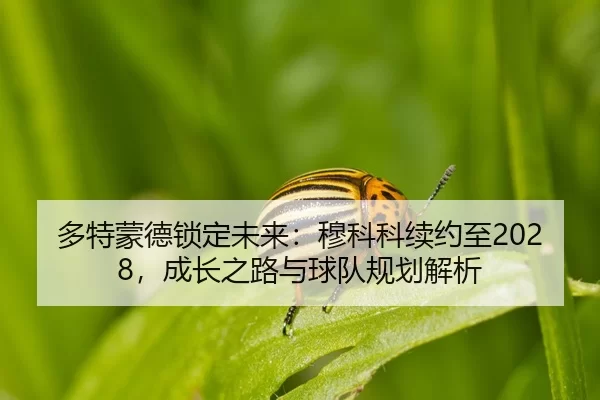 duo-te-meng-de-suo-ding-wei-lai-mu-ke-ke-xu-yue-zhi-cheng-zhang-zhi-lu-yu-qiu-dui-gui-hua-jie-xi-2-977.jpg