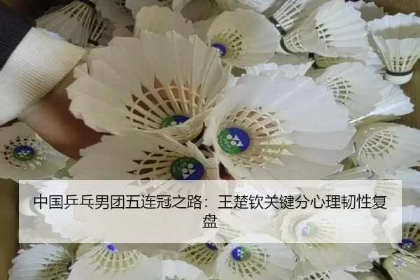 中国乒乓男团五连冠之路：王楚钦关键分心理韧性复盘